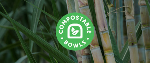 Embracing Sustainability: The Journey of Bark Bowls