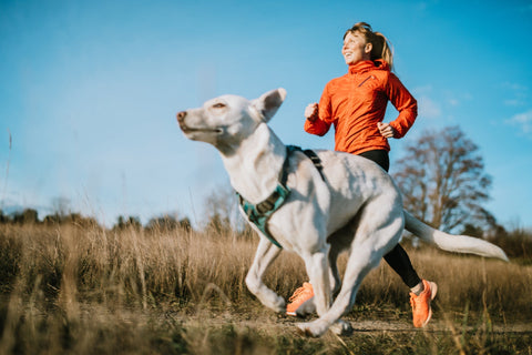 Happy, Healthy New Year! Kickstarting Healthy Habits for You and Your Canine Companions