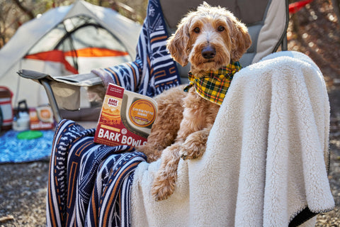 “Fall” into a New Routine! Helping our Pets Make the Leap
