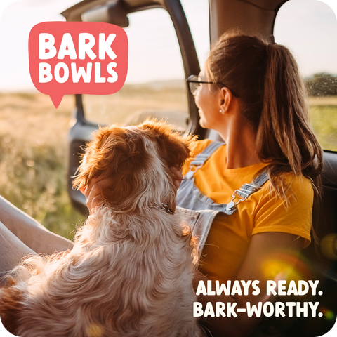 Bark Bowls - Homestyle Beef Dinner - 4 Pack Wholesale Case