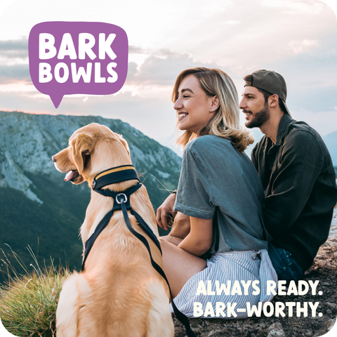 Bark Bowls - Medium Turkey Fare Dinner