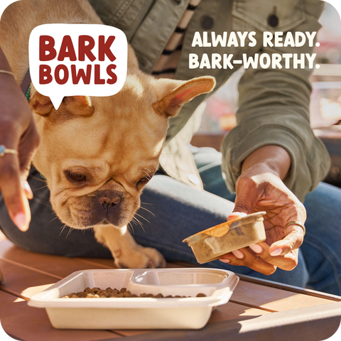 Bark Bowls Chicken Pot Pie Dinner — 12ct Multipack