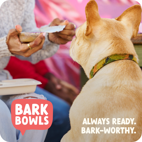 Bark Bowls Homestyle Beef Dinner — 12ct Multipack