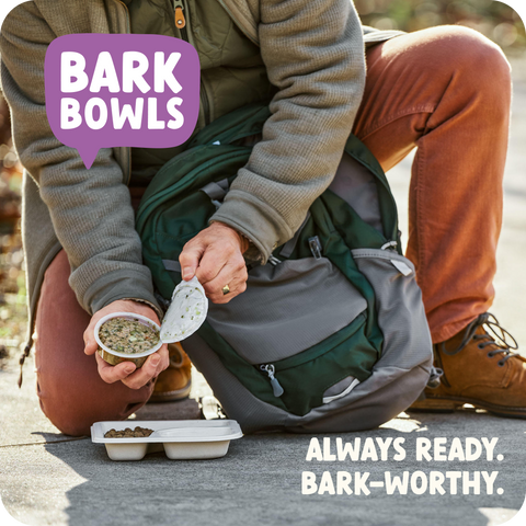Bark Bowls Turkey Fare Dinner — 12ct Multipack